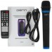 Портативная аудиосистема Denn DPS325