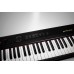 ЦИФРОВОЕ ПИАНИНО ARTESIA PERFORMER BLACK