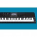 Синтезатор CASIO CT-X800
