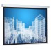 Экран CACTUS Wallscreen CS-PSW-183x244, 244х183 см, 4:3, настенно-потолочный белый