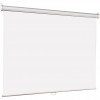 Экран для проектора Lumien Eco Picture LEP-100101 84" (212 см) 